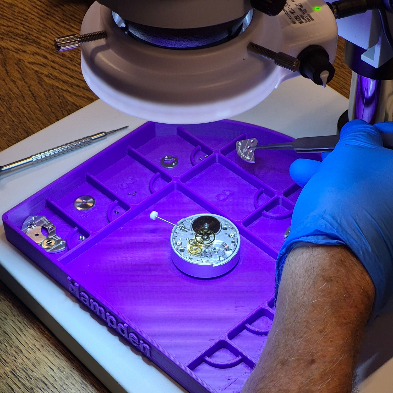 Watch Movement Parts Tray